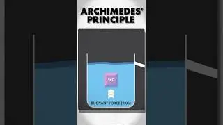 Archimedes Principle Explained in 60 seconds!