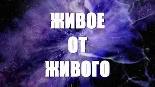 Биогенез! Живое от живого!!
