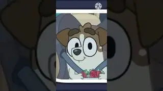 Who’s your favorite Bluey character? #bluey #blueyedit #edit #cartoon