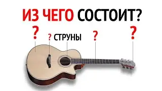 Из чего состоит гитара? Строение акустической гитары