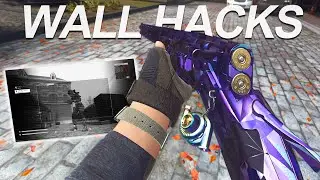 I used this SECRET Item & it gave me WALL HACKS