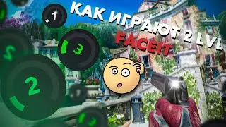 КАК ИГРАЮТ 2 LVL FACEIT (CS2)