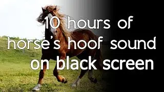 🎧 Horse's hoof sound sounds on high quality white noise ASMR black screen dark screen