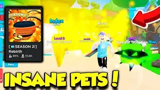 I Played Rebirth Champions X SEASON 2 UPDATE And Got THESE INSANE PETS... (Roblox)