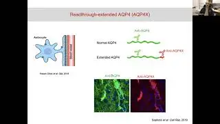 [Darshan Sapkota] Neurobiological significance of alternative modes of mRNA translation in astrocyte