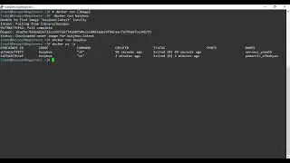 5. Docker Basic Commands Part 1