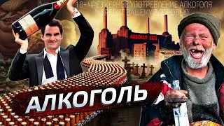 Алкоголь. Почему мы пьем? 
