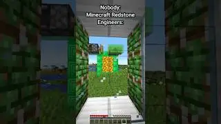 Minecraft moment