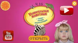 Удивительные животные. Твоя ПЕРВАЯ энциклопедия! Часть 16