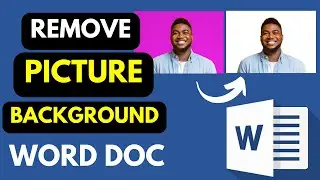 How to Remove Picture Background in Microsoft Word in 2023