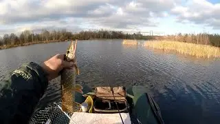Осенний спиннинг в городской черте.
