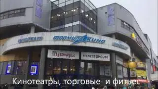 Купить квартиру у метро Проспект Просвещения на Есенина СПб/АЛЕКСАНДР Недвижимость