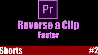 Reverse a Clip Faster | Adobe Premiere Pro Tutorial | Youtube Shorts