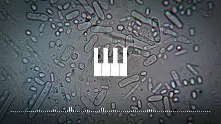 Microworld / Background Chill Music for Video by MaxKoMusic - Free Download