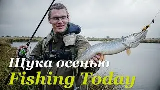 Ловля щуки осенью. Топовые воблеры и железо - Fishing Today