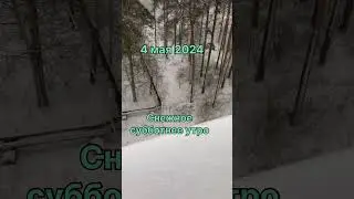 Зима вернулась…