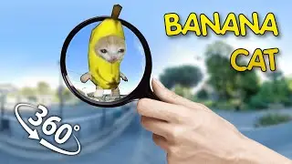 Find Banana Cat ! 360 challenge video #vr360 #360