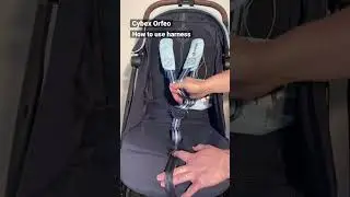 Cybex Orfeo: Adjusting the Harness