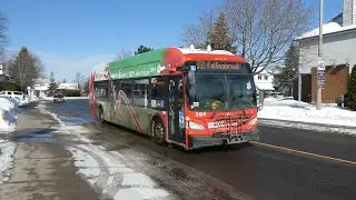 OC Transpo 2104: New Flyer Xcelsior XE40, Enters Revenue Service (Electric Bus)