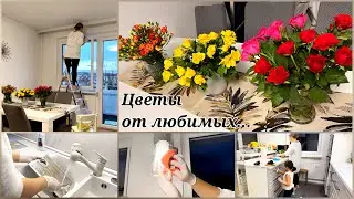 МОТИВАЦИЯ НА УБОРКУ/ Начала генеральную предновогоднюю уборку