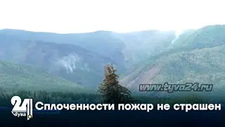 Сплоченности пожар не страшен