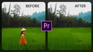 REMOVE moving Objects From VIDEO In Premiere Pro