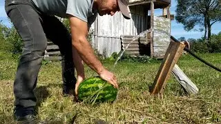 Небывалый урожай ,Продолжаю ремонтировать дом в деревне,,