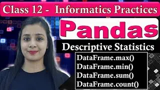 Pandas DataFrame - max(), min(), count(), sum() | CBSE Class 12 - IP | Lovejeet Arora #12board #12CS