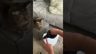 👌Как правильно установить PS5