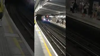 The London Underground, or the Tube