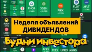 Неделя объявления дивидендов, новое дно по ОФЗ, ожидаемая коррекция акций - будни инвестора