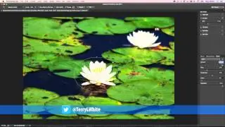 Photoshop CC 2015 - Add Noise to Blur Gallery Effects