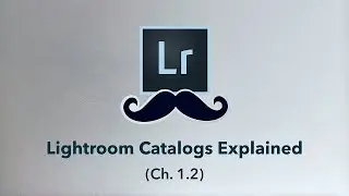 Lightroom CATALOGS Explained - Easy Tutorial
