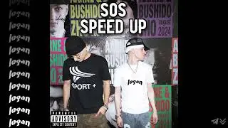 bushido zho, aarne - sos (speed up)