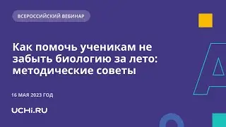 Как помочь ученикам не забыть биологию за лето: методические советы