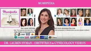 Momipedia: Ob-Gyn Dr. Lauren Hyman | Getting Pregnancy Ready