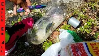 PLASTIC BOTTLE FISH TRAP! HILARIOUS Dollar store fishing challenge