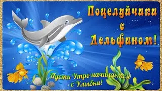 Позитив с ДЕЛЬФИНОМ! 🌺 ПОЦЕЛУЙЧИКИ!!) 🌺 Пусть Утро начинается с Улыбки!