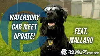 Police K9 Unit, Mallard, Has Important News!