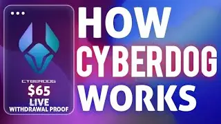 HOW CYBERDOG WORKS | BEST QUANTITATIVE TRADING PLATFORM : [65U$DT PROOF]|Cryptocurrency News Today