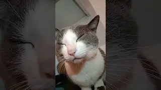 VID 20230601 214855