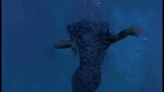H2O Favorite Scene