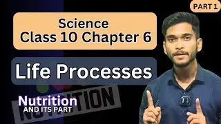 Life Processes Class 10 | Class 10 Science Chapter 6 | CBSE | NCERT
