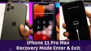 iPhone 11 Pro Max Recovery Mode Enter & Exit Without Computer