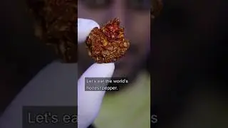 Eating the Hottest Pepper in the World