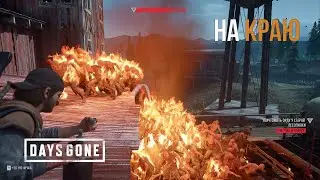 DAYS GONE Орда у старой лесопилки - На краю...