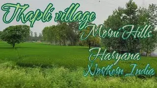 Thapli Village, Morni Hills, 2017