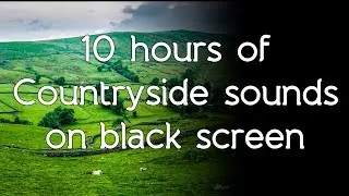 🎧 Countryside Nature sounds high quality white noise ASMR relax study skeep black screen dark scree