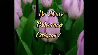 Доброе Утро !!!