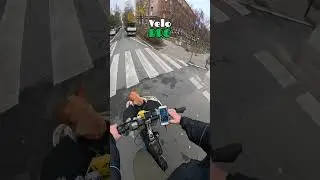 ПРИРУЧИЛ ДРАКОНА 